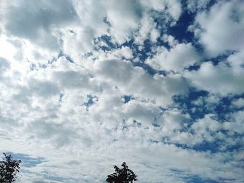 Low angle view of tree against cloudy sky