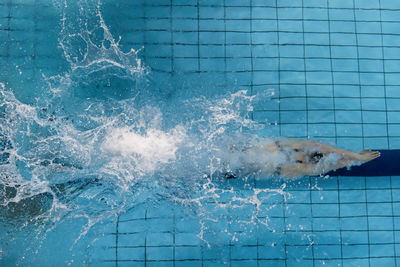 High angle view of dog swimming in pool