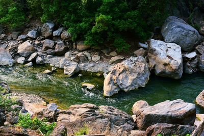 Rocks and plants in stream