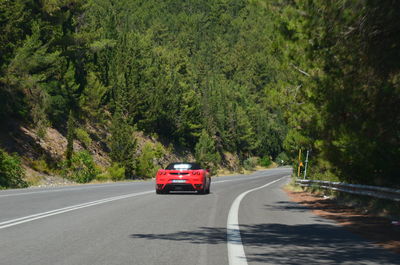 Car on road by trees