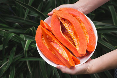 Close-up of person holding orange slice