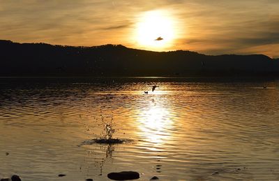 Scenic view of lake at sunset