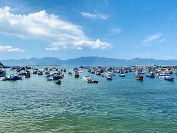 Sailboats in marina