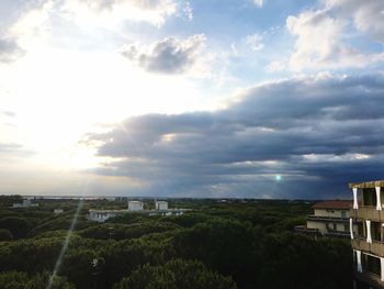 Trees against cloudy sky