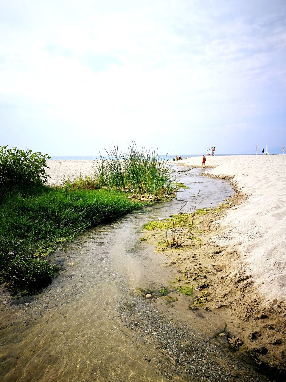 sky, water, land, beach, plant, sea, beauty in nature, scenics - nature, nature, day, tranquility, tranquil scene, sand, incidental people, cloud - sky, non-urban scene, grass, footpath, horizon, horizon over water, outdoors