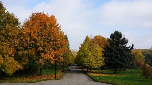 Footpath amidst trees in park during autumn