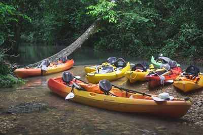 Boats in river against trees