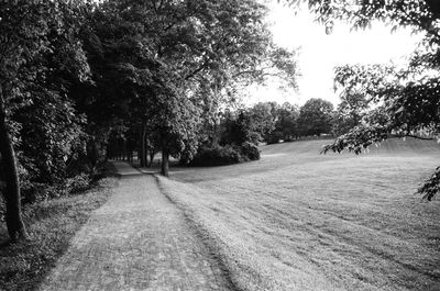 Road amidst trees against sky