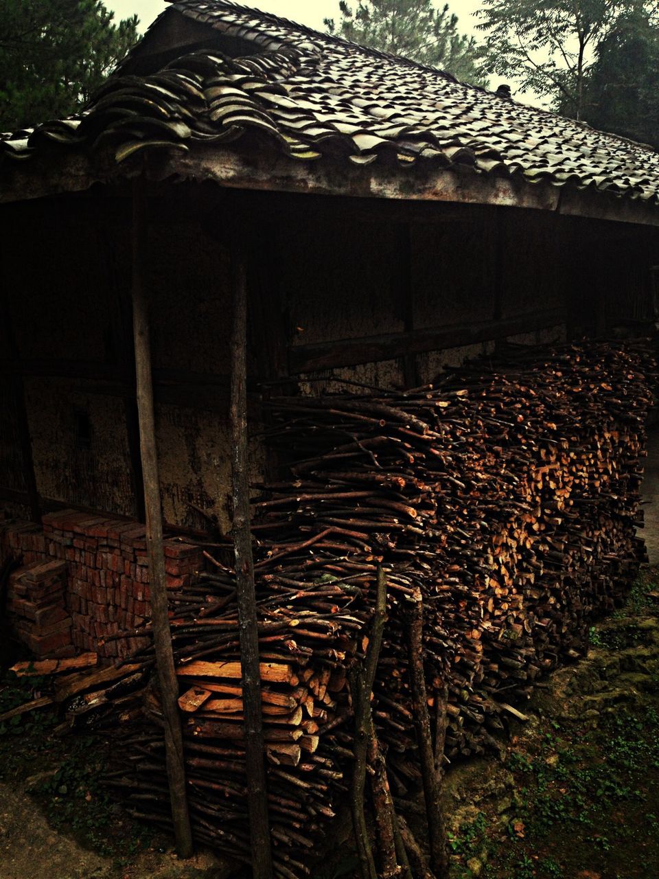 architecture, built structure, building exterior, house, tree, roof, day, no people, old, residential structure, wood - material, outdoors, abandoned, residential building, sunlight, low angle view, building, growth, window, sky