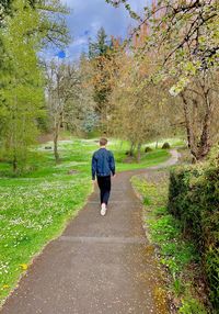 Rear view of man walking on footpath amidst plants