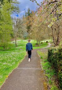 Rear view of man walking on footpath amidst forest