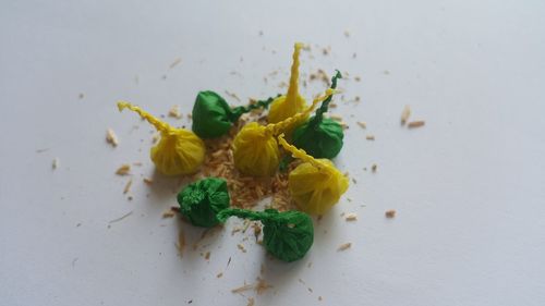 High angle view of vegetables on white table