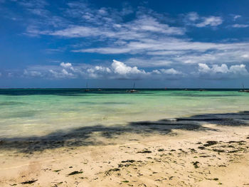 Landscapes of zanzibar