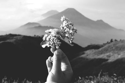 Close-up of hand holding flowers against mountain