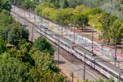 High angle view of train amidst trees