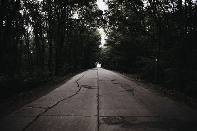 Empty road amidst trees in forest