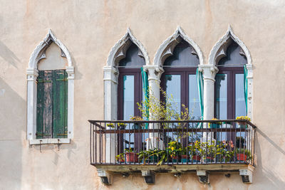 Low angle view of potted plants on window of building