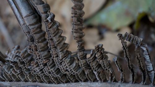Close-up of rope tied on metal