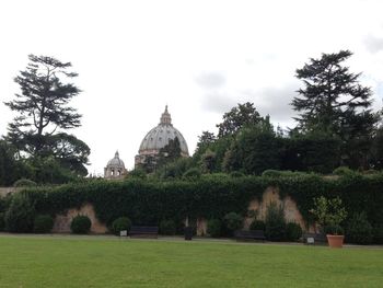 Trees in front of building