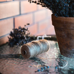 Close-up of dried plant and spool if thread on table