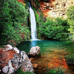 Scenic view of waterfall in forest