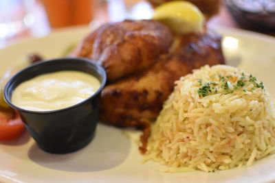 Close-up of meal served in plate