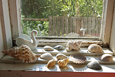 Close-up of birds on table