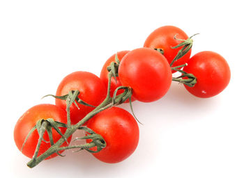 Close-up of tomatoes against white background