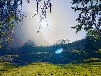 Scenic view of lake in forest against sky