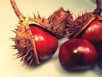 Close-up of chestnuts on white background