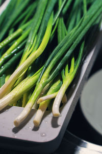 High angle view of chopped vegetables in plate