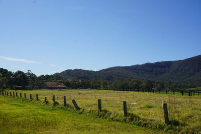 Scenic view of field against clear blue sky