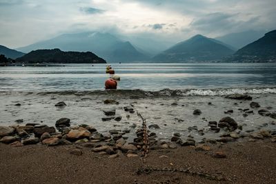 Rear view of man on beach against sky