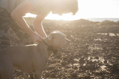 Side view of young man with dog standing at beach during sunny day