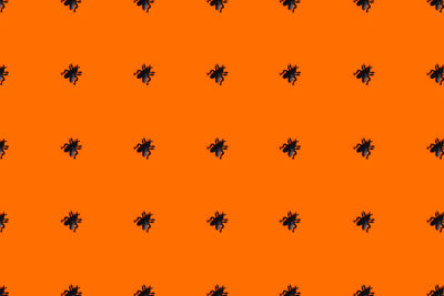 Halloween pattern - orange background with cockroach. flat lay, top view.