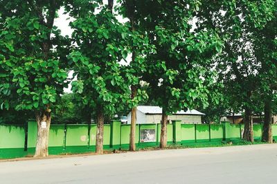 Built structure against trees