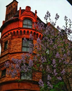 Low angle view of flowering plants by building against sky