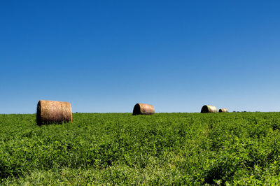 Hay bales on field against clear blue sky