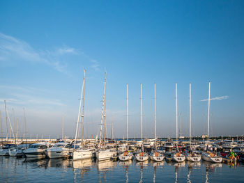 Sailboats moored in harbor