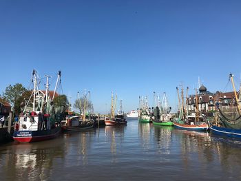 Sailboats in marina