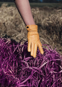 Low section of woman standing on purple field