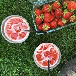 High angle view of red fruits in container