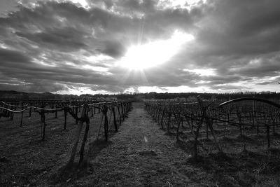 Panoramic shot of field against sky