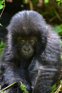 Close-up portrait of young man