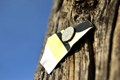 Low angle view of text on tree trunk against clear blue sky