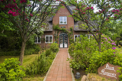 Footpath amidst plants and houses in park