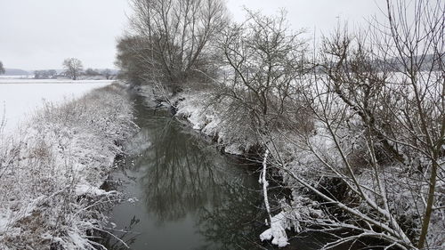 Close-up of bird by sea against sky