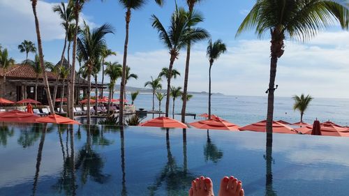 Palm trees by swimming pool against sky