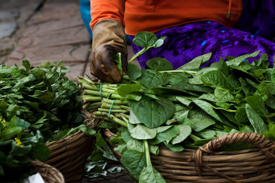 Midsection of vendor selling spinach at market