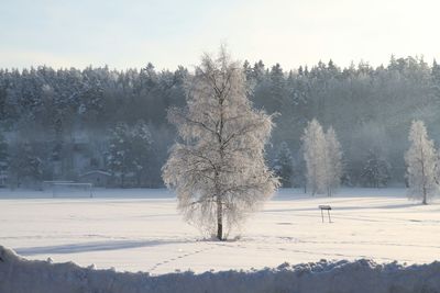 Scenic view of snow covered field